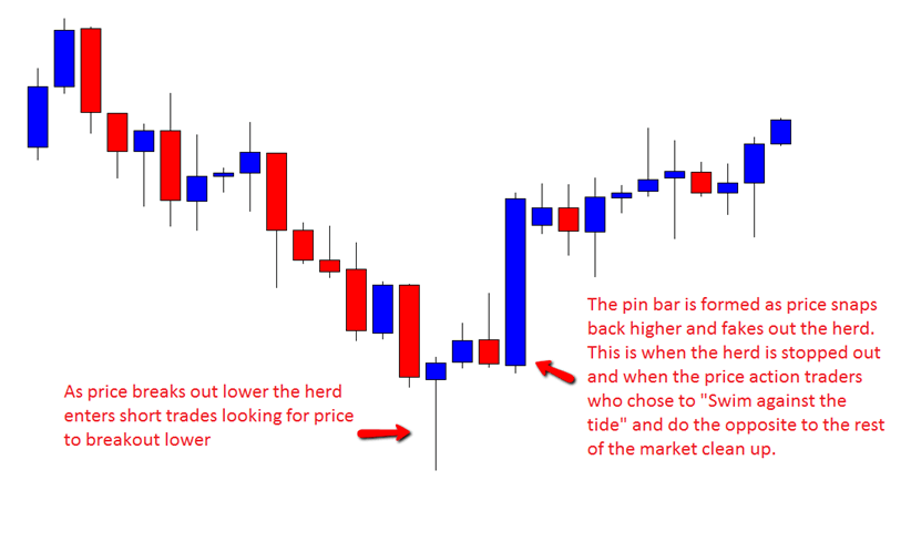 pin bar breakout