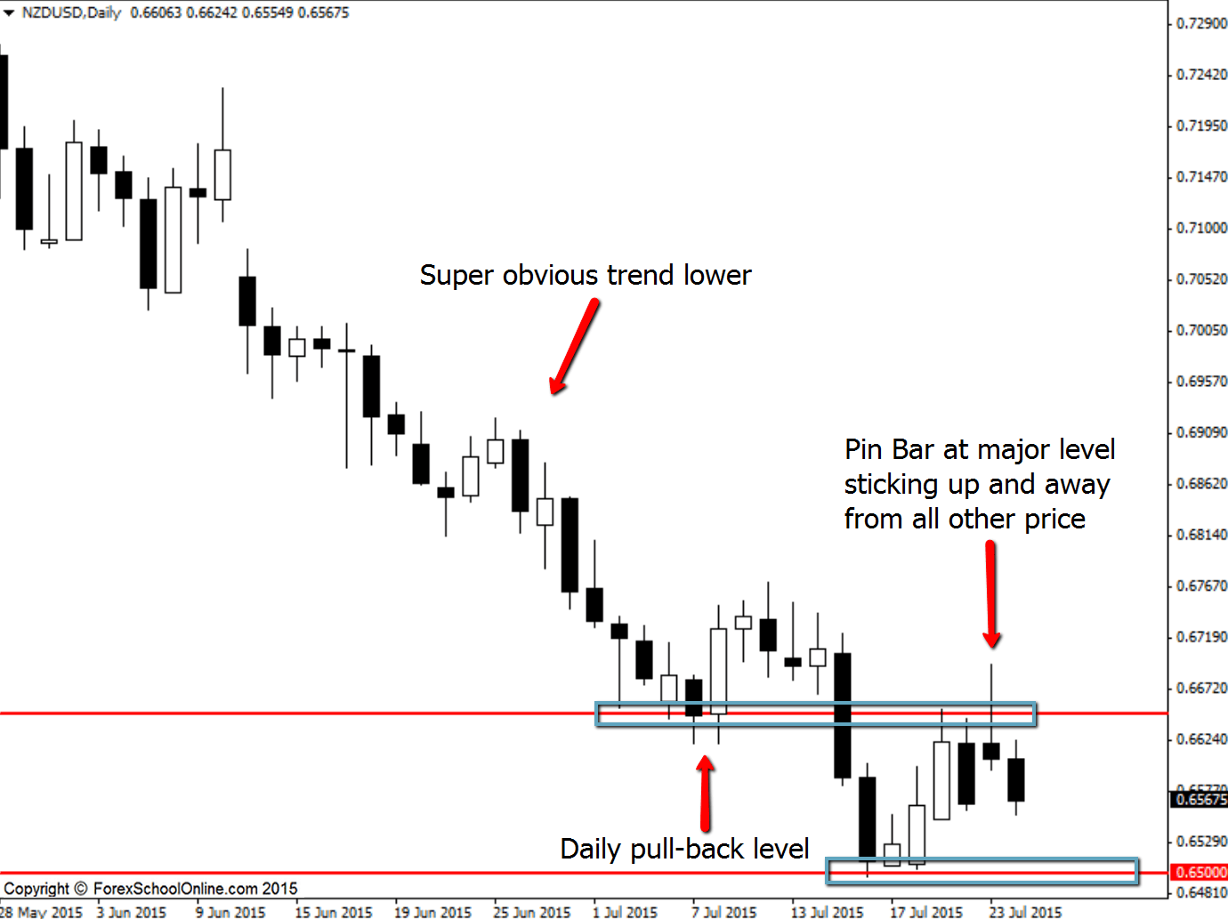 NZDUSD Pin Bar reversal high probability