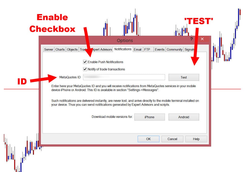 MT5 mobile alerts