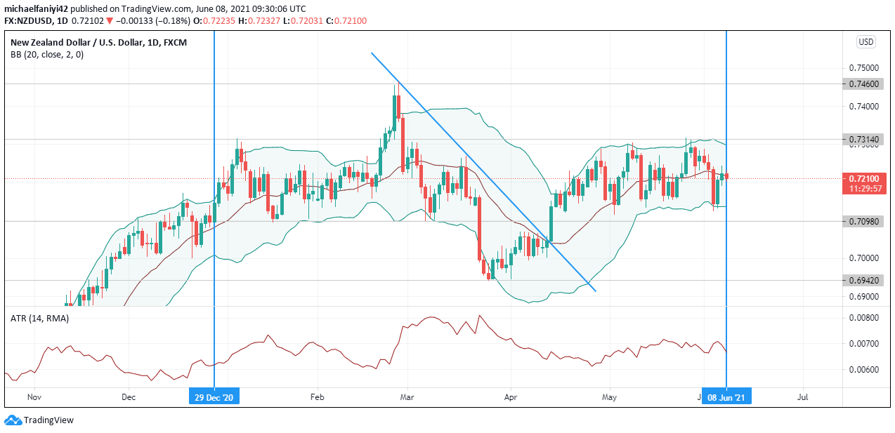 NZDUSD Bulls and Bears