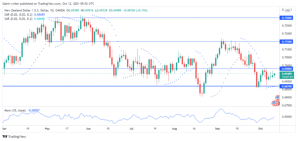 NZDUSD rebounds