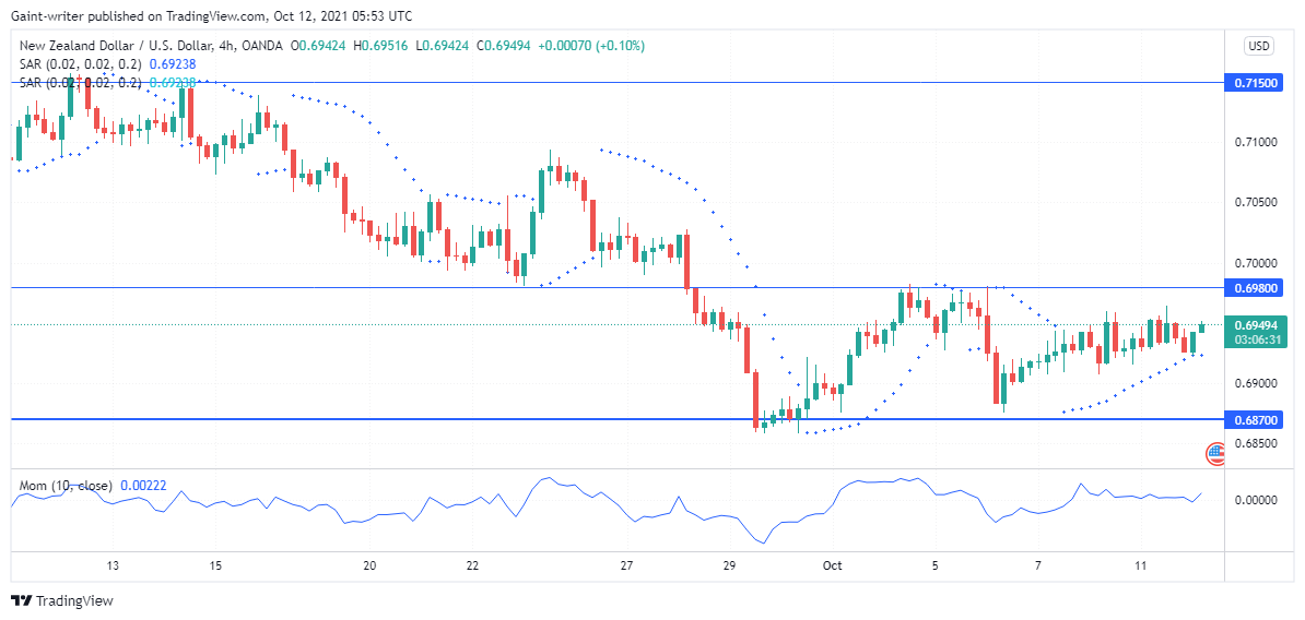 NZDUSD rebounds 