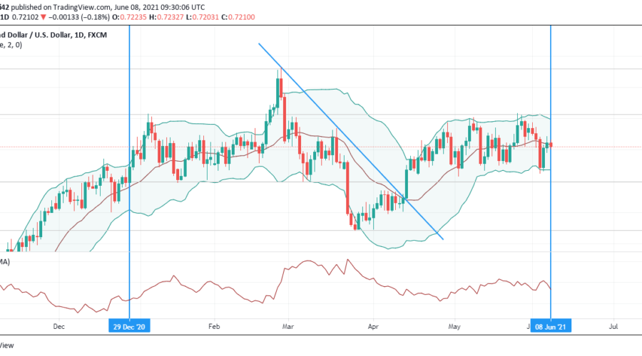 NZDUSD Bulls and Bears