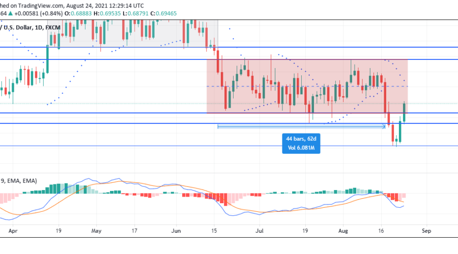 NZDUSD bulls drive