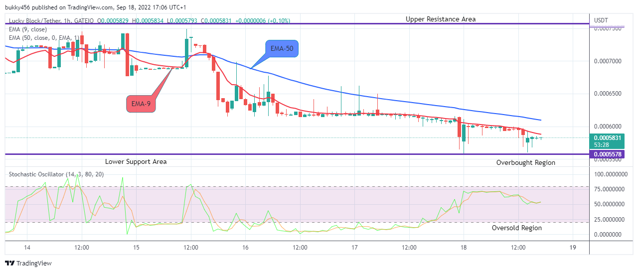 LBLOCKUSD is about to resume its bullish race. The cryptocurrency is trying hard not to fall heavily to the downside. Therefore, if the bulls could trigger their forces in the market