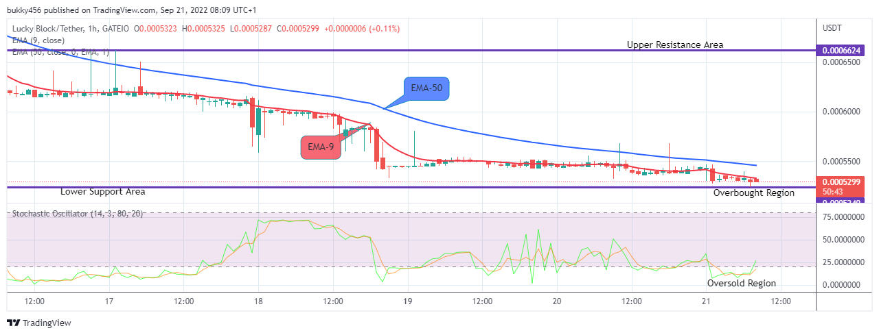 LBLOCKUSD is about to resume its bullish race. The cryptocurrency is trying hard not to fall heavily to the downside