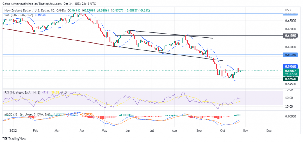 NZDUSD Seeks to Reclaim Hold High