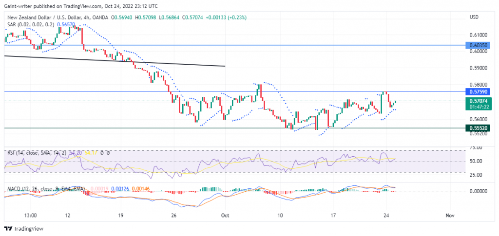 NZDUSD Seeks to Reclaim Hold High