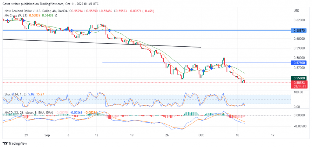 NZDUSD Traders Decides to Shoot Price Moment Lower