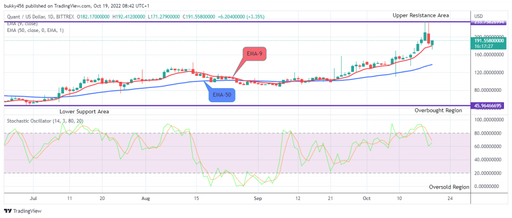 QNTUSD Long-term Trend: Bullish (Daily chart)