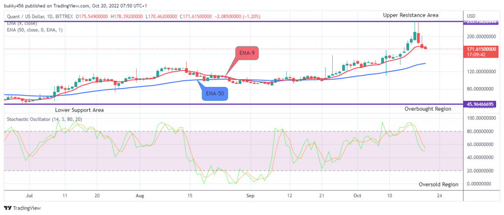 QNTUSD Long-term Trend: Bullish (Daily chart)