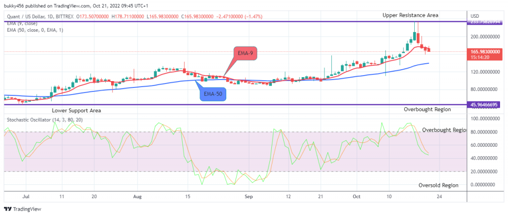 QNTUSD Long-term Trend: Bullish (Daily chart)