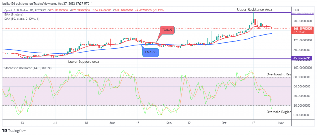 QNTUSD Long-term Trend: Bullish (Daily chart)