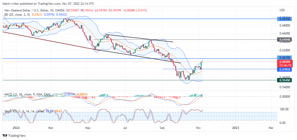 NZDUSD Buy Traders Prepare for Battle as the Price Makes a Rally Upward