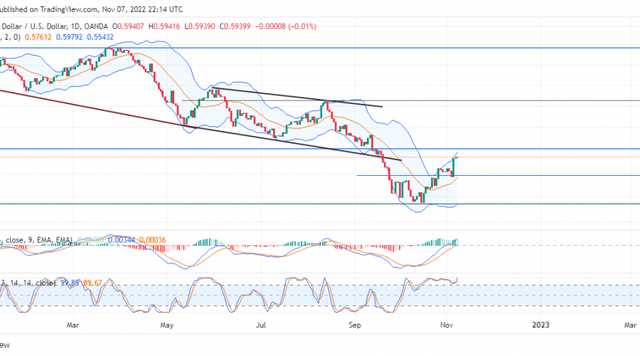 NZDUSD Buy Traders Prepare for Battle as the Price Makes a Rally Upward