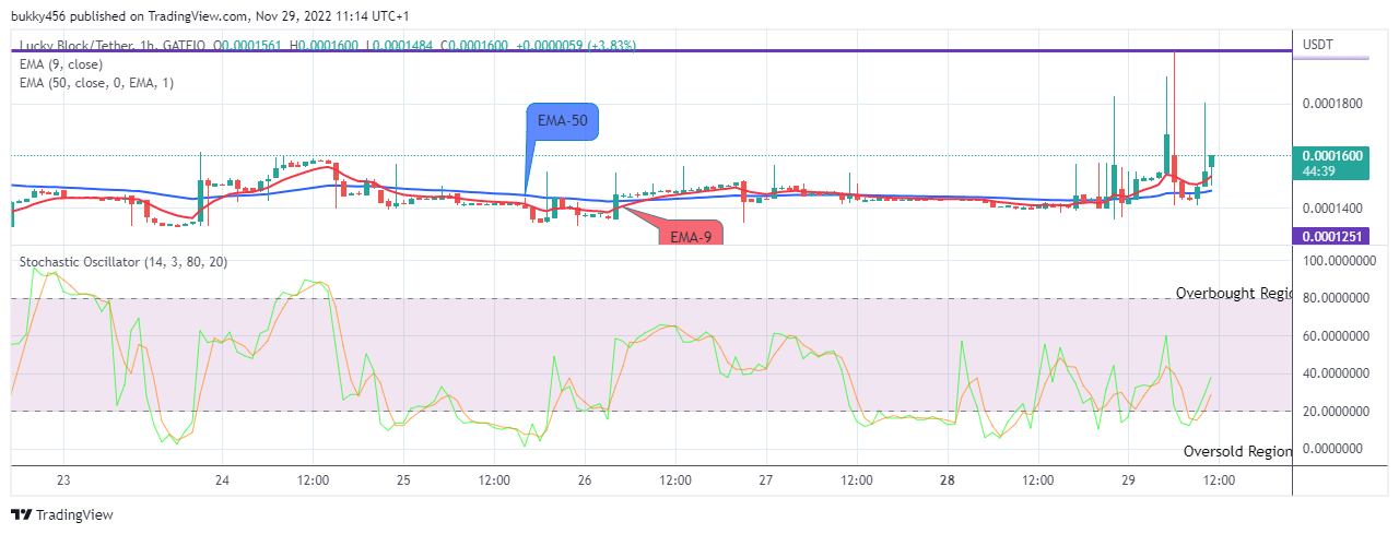 Lucky Block Price Prediction: LBLOCKUSD Will Increase Further