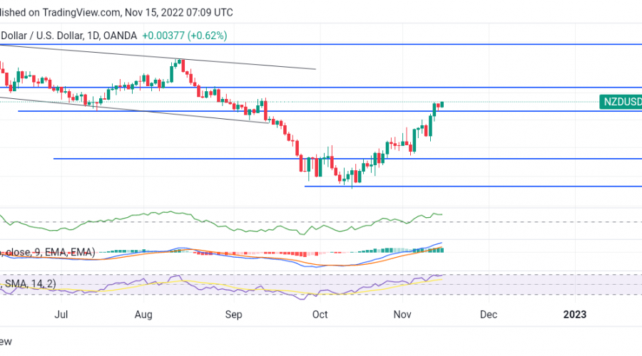 NZDUSD price resumes