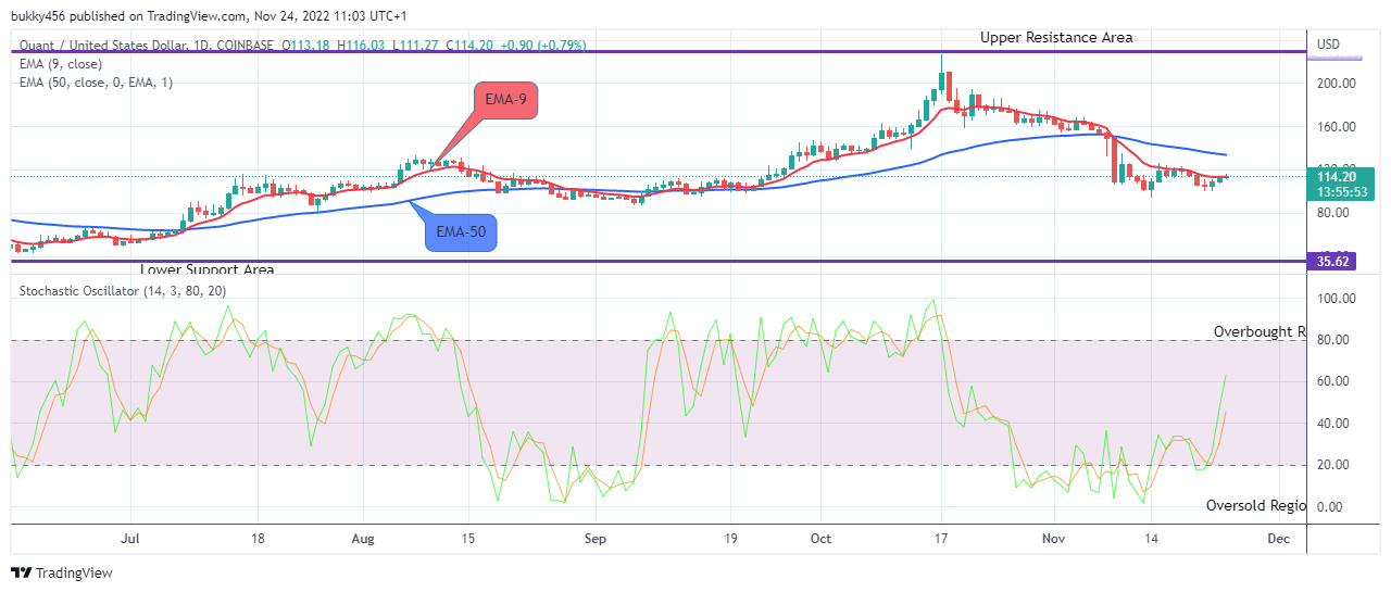 Quant (QNTUSD) Price Will Rise Further