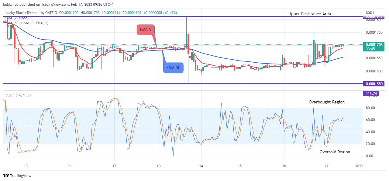 Lucky Block Price Prediction: LBLOCKUSD Price Close to $0.02000 Supply Level, Buy Now!