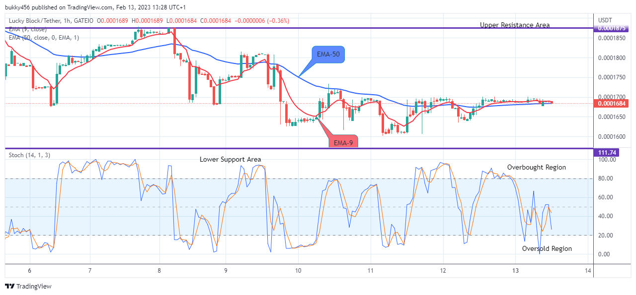 Lucky Block Price Prediction: LBLOCKUSD Price Will Grow Further