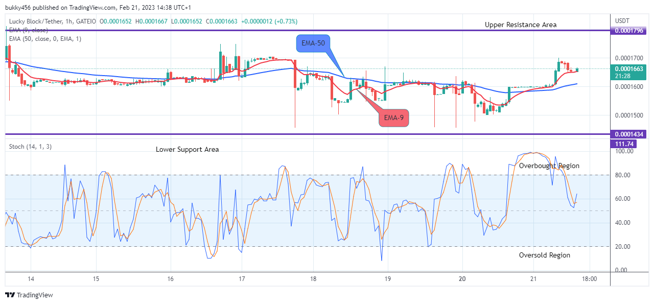 Lucky Block Price Prediction: LBLOCKUSD Price Hitting the $0.0002500 Supply Value