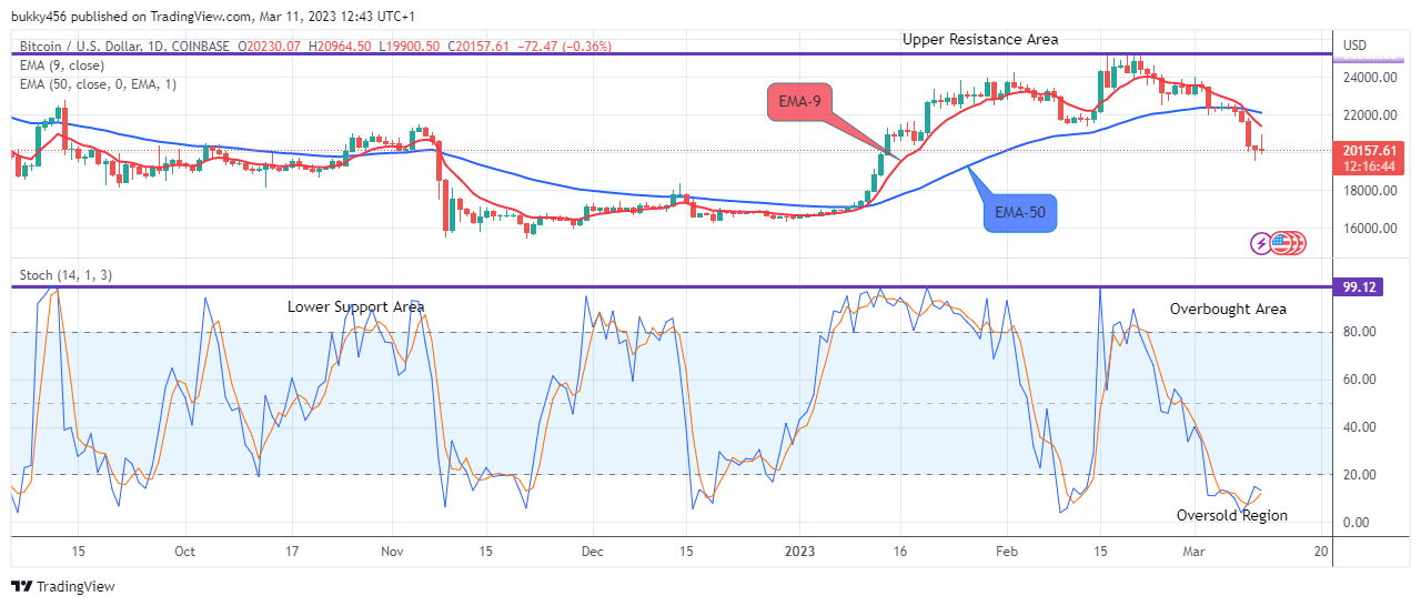 Bitcoin (BTCUSD) Price Could See another Uphill Trend Soon