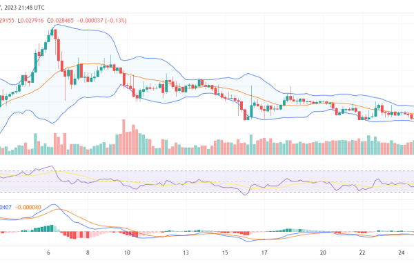 The Dash 2 Trade (D2T) Price Rallies as Bull Market Gains Momentum