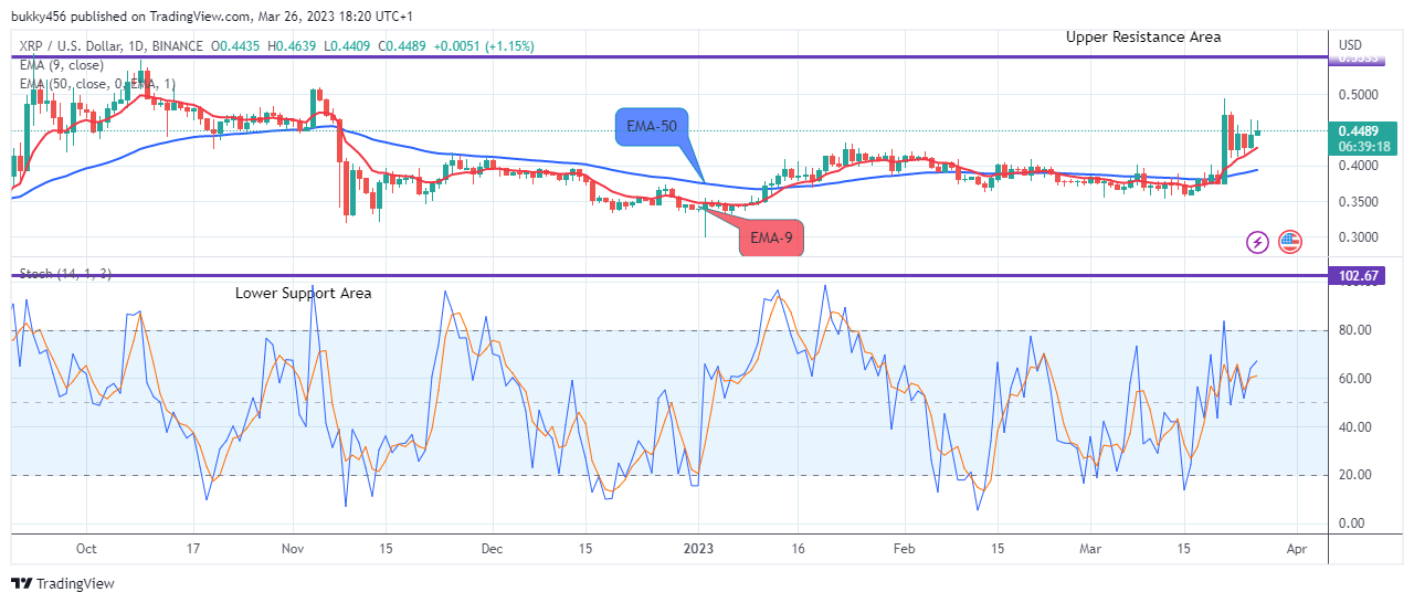 Ripple (XRPUSD) Next Price Target Maybe the $1.00 High Level