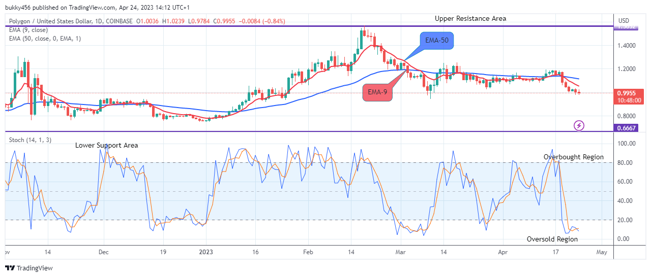 Polygon (MATICUSD) Price Will Move Higher from Support