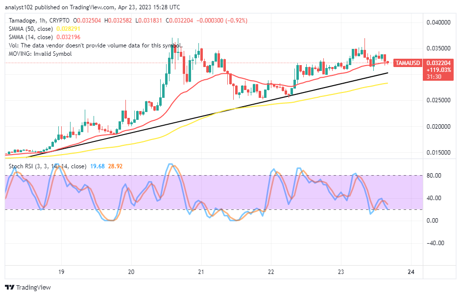 Tamadoge (TAMA/USD) Market Is Pending in an Upward Correction Outlook