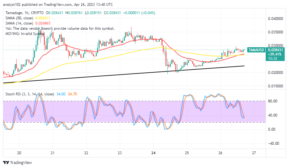 Tamadoge (TAMA/USD) Market Is on a Less-Active Increase Pace