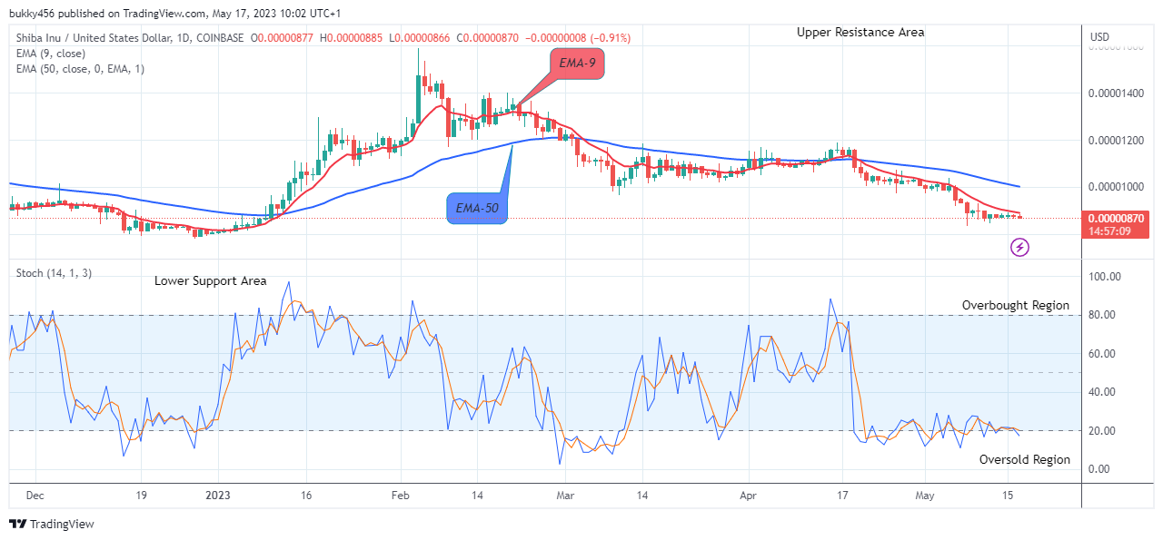 Shiba Inu (SHIBUSD) Price to Increase from Support Soon