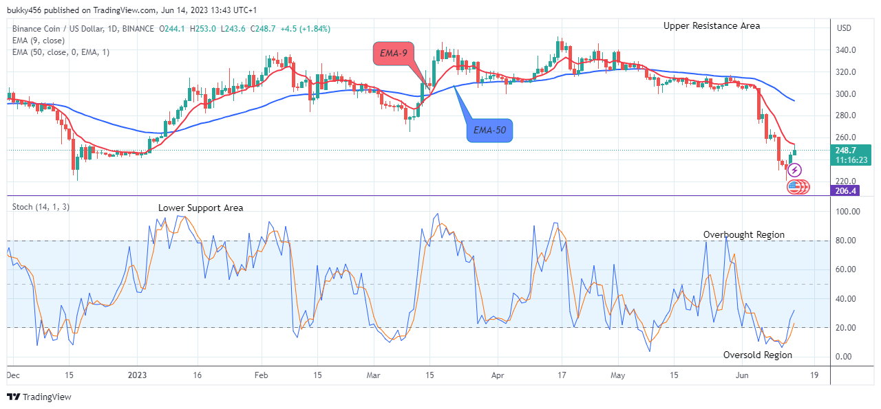 Binance Coin (BNBUSD) Set to Rise Further! BUY!