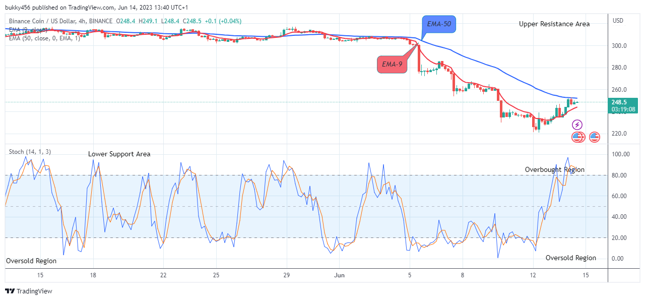 Binance Coin (BNBUSD) Set to Rise Further! BUY!