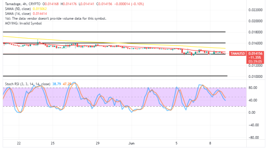 Tamadoge (TAMA/USD) Market Is Oscillating Before a Rebound