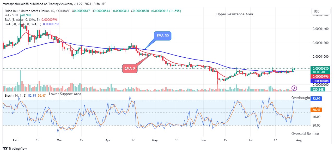 Shiba-Inu (SHIBUSD) Price Claims another Bullish Cycle