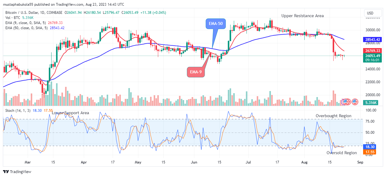 Bitcoin (BTCUSD) Price Attempting the Next Bull Cycle