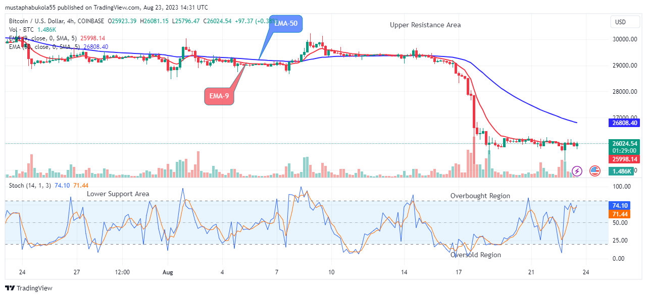 Bitcoin (BTCUSD) Price Attempting the Next Bull Cycle