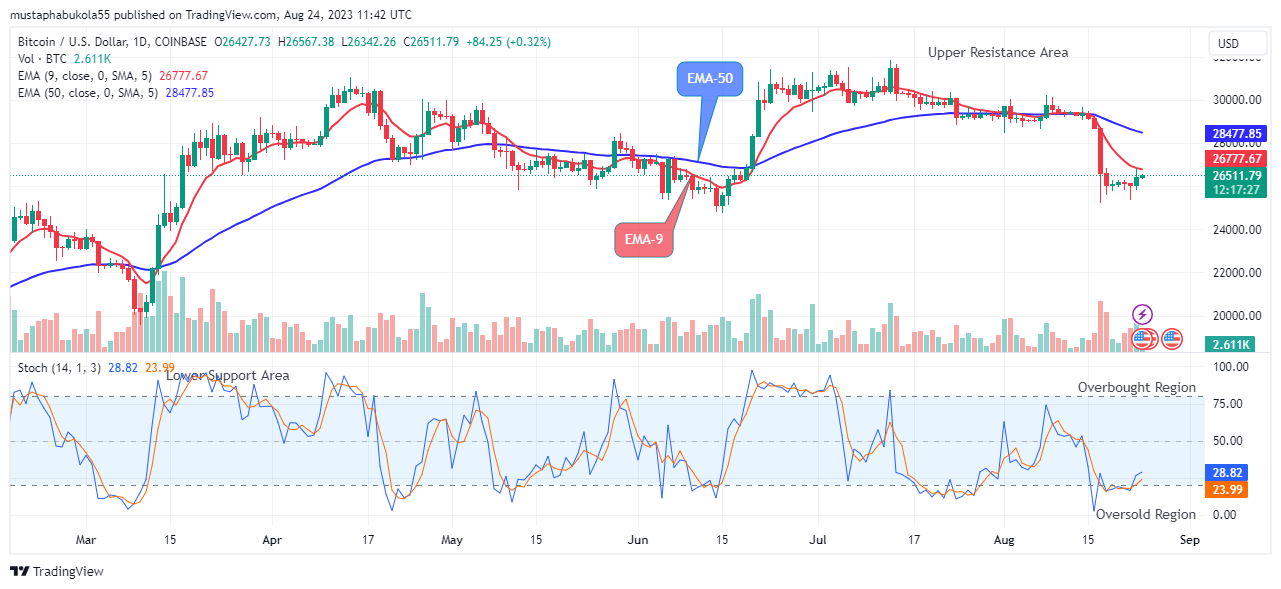 Bitcoin (BTCUSD) Price Signals for an Upcoming Surge