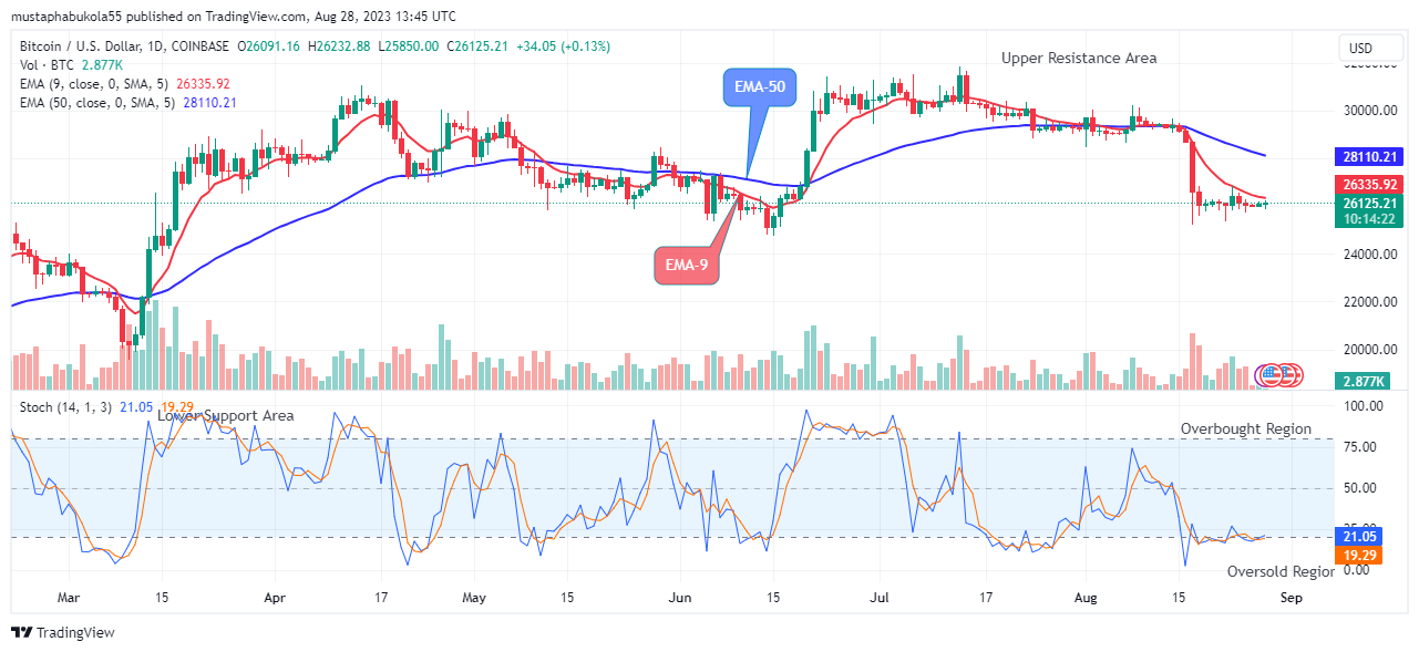 Bitcoin (BTCUSD) Price Projects a Bullish Upswing