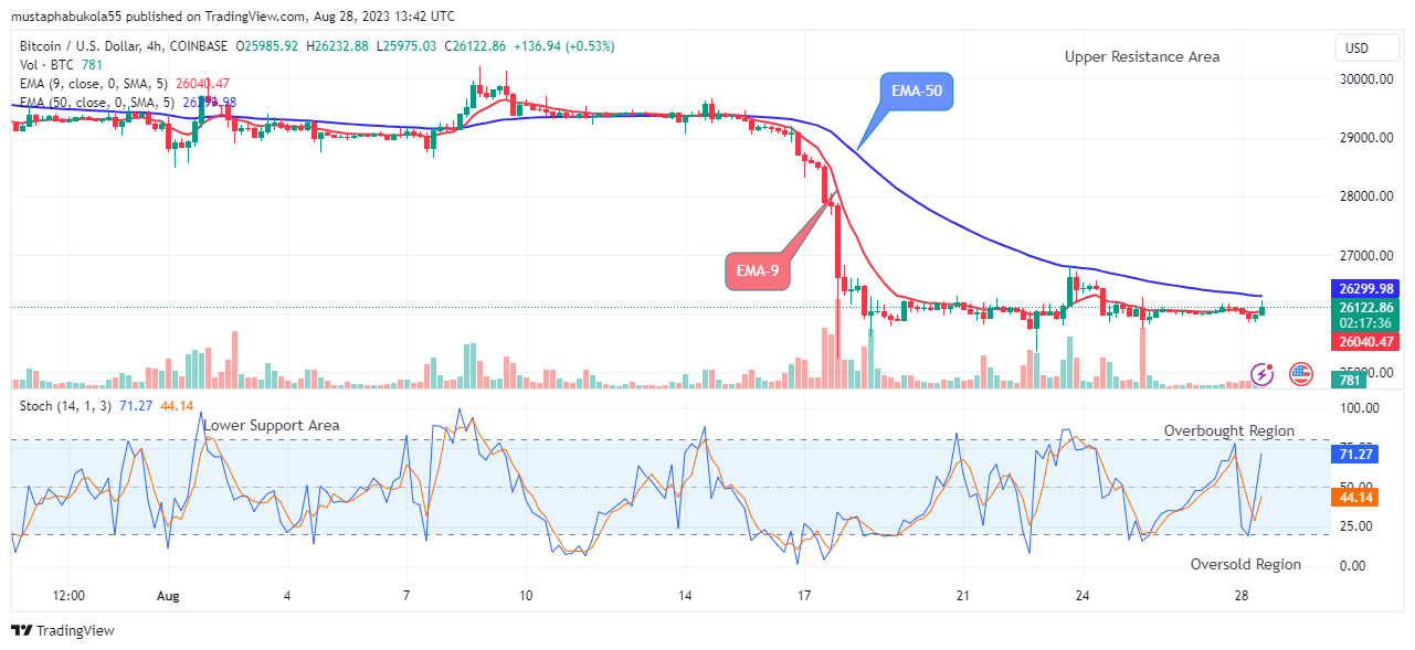 Bitcoin (BTCUSD) Price Projects a Bullish Upswing