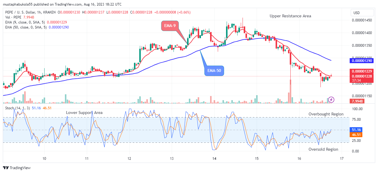 Pepe (PEPEUSD) Possible Reversal at the $0.000001237 Support Level