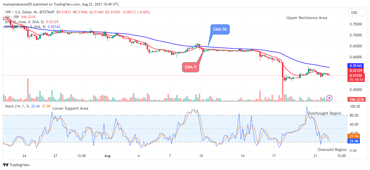 XRP (XRPUSD) Will Rise Soon, Watch out for BUY!