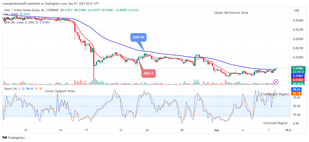 Ankr (ANKRUSD) Price Recovery is set to Target the $0.02000 High Mark