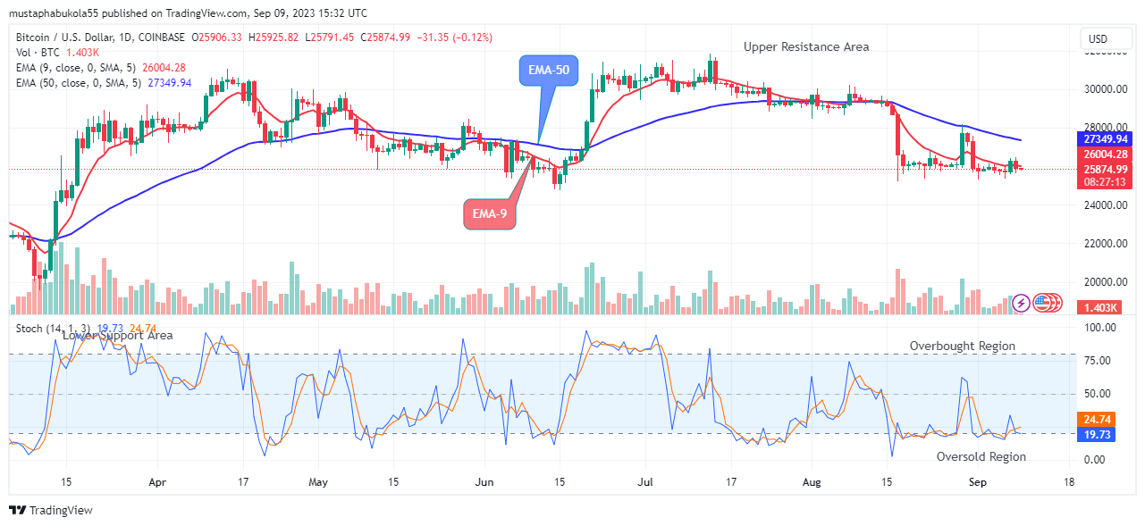 Bitcoin (BTCUSD) Price May Surge Higher to Retest the $31862.21 Level