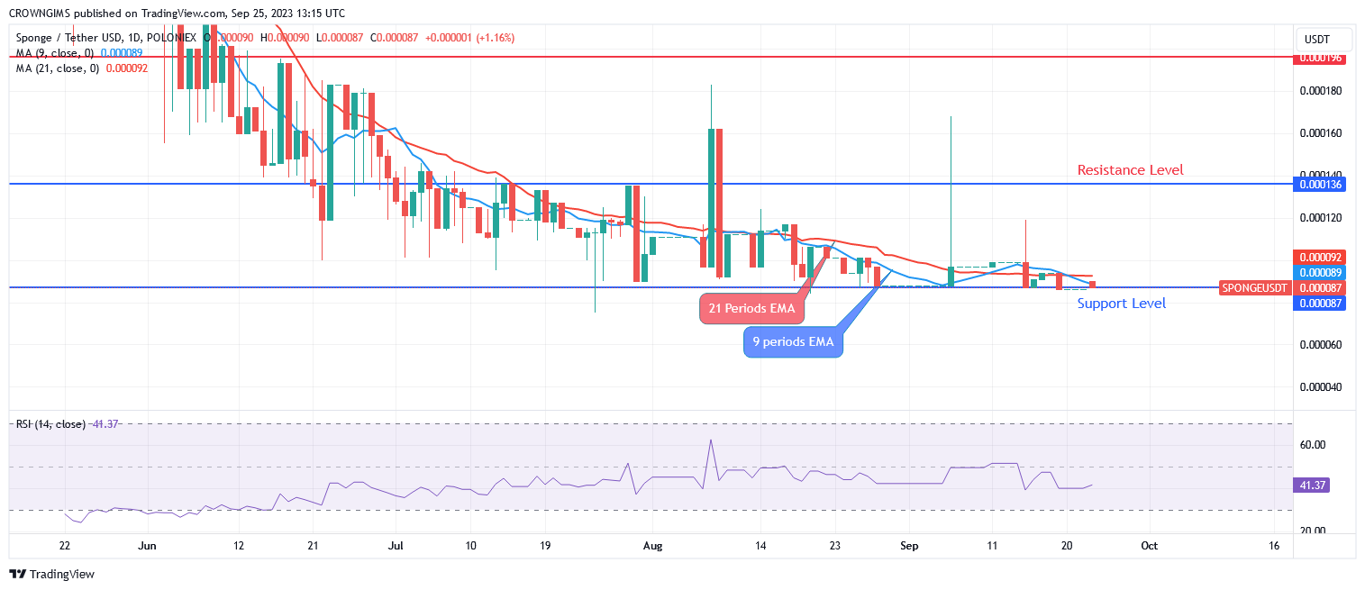 SPONGEUSDT Price Will Soon Reach Its Previous High
