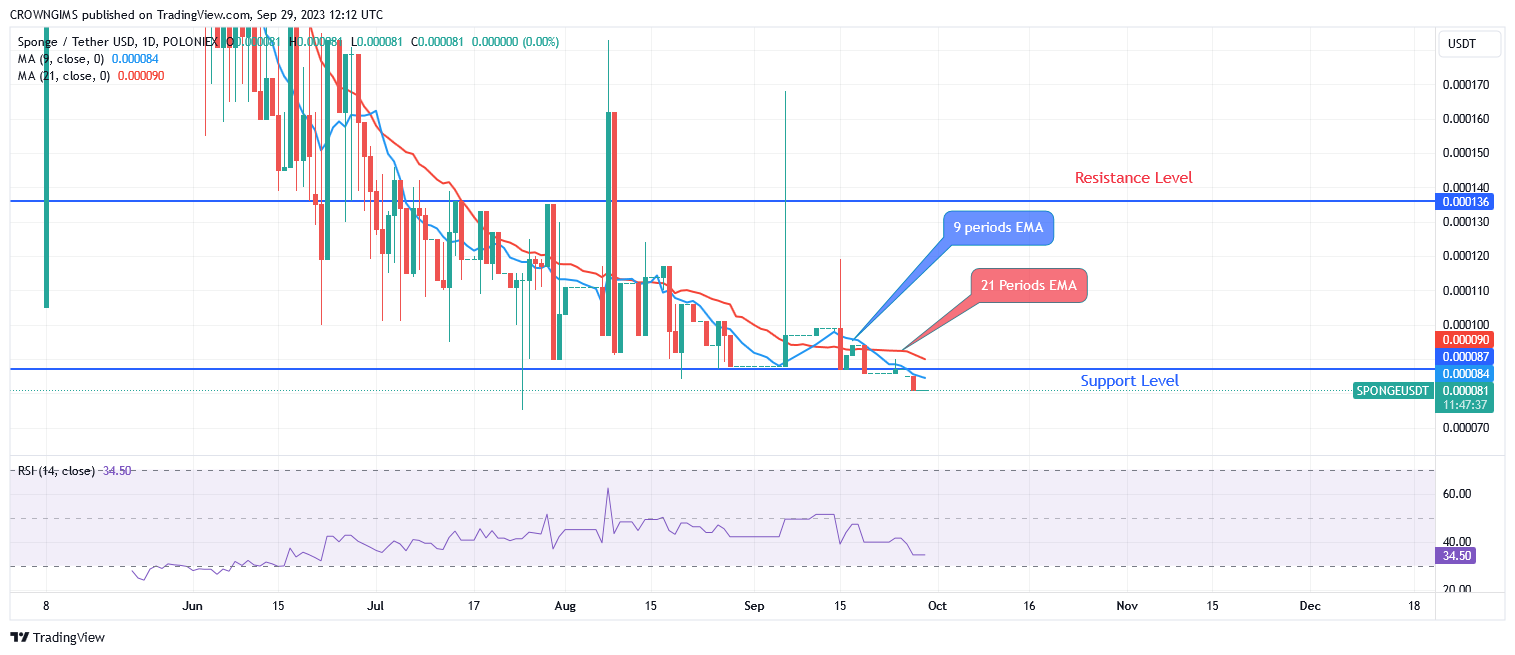SPONGEUSDT Price Will Rebound to Previous High