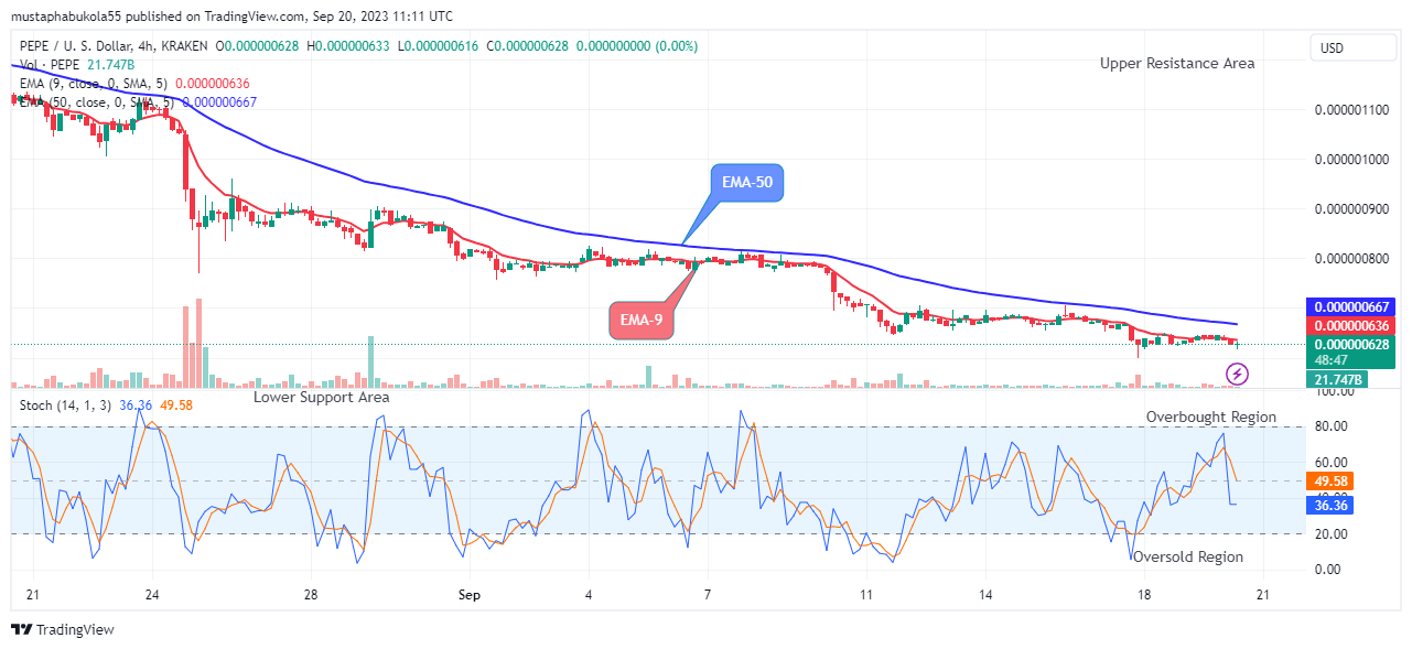 Pepe (PEPEUSD) Price Will Go Higher from Support 