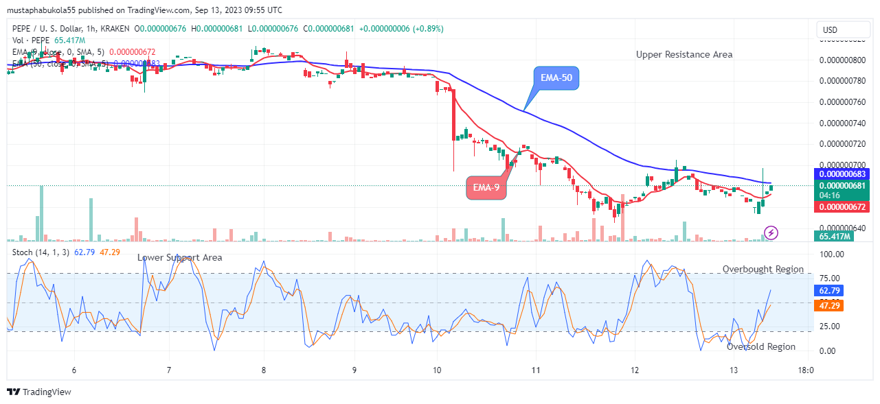 Pepe (PEPEUSD) Price to Bounce up to Level $0.000001500