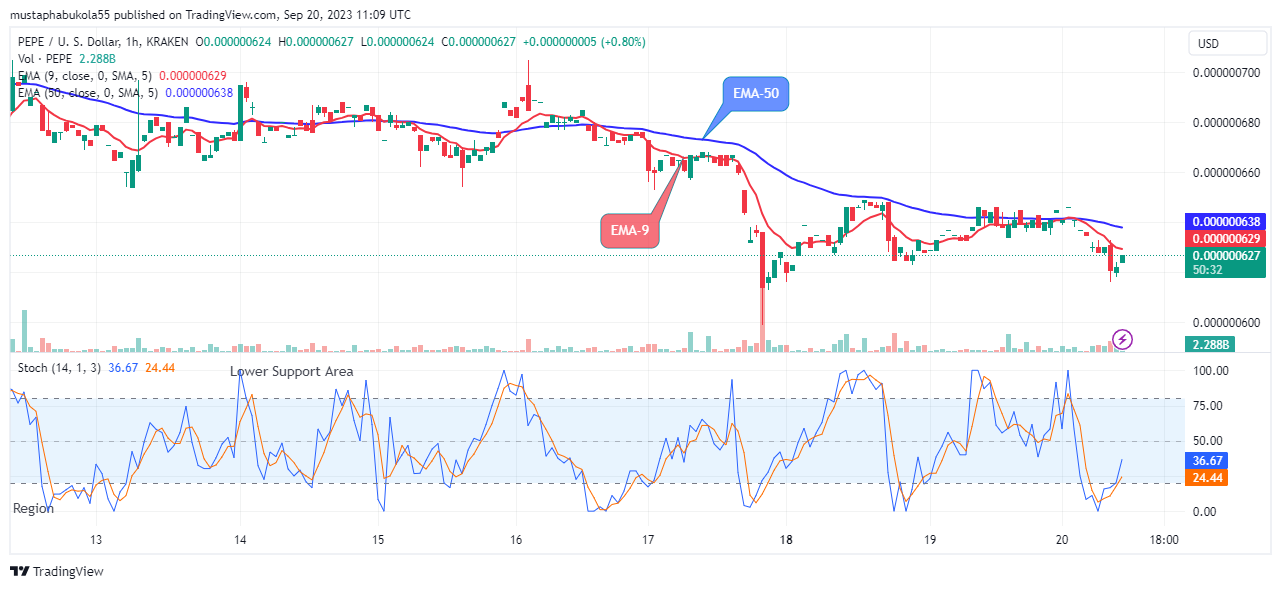 Pepe (PEPEUSD) Price Will Go Higher from Support 